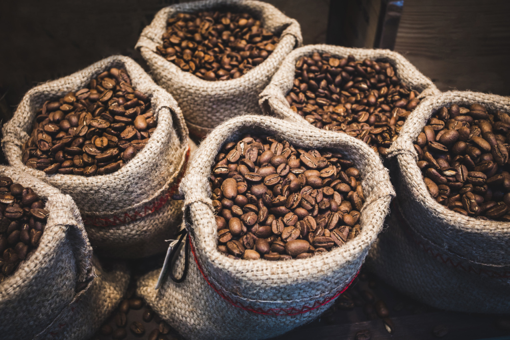 where-do-coffee-beans-come-from-origins-processing-explained